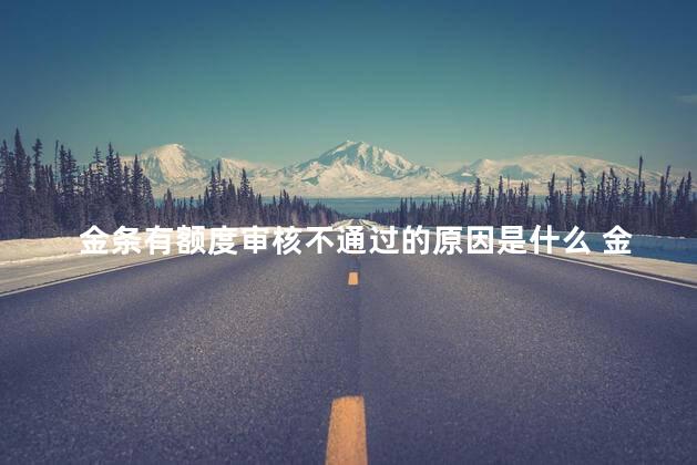 金条有额度审核不通过的原因是什么 金条显示有额度点进去无法借款